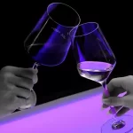 Sei veramente elegante La conferma de esperto