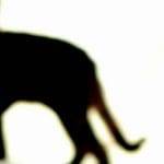 Venerdi 17 a far paura lo sciopero non la sfiga