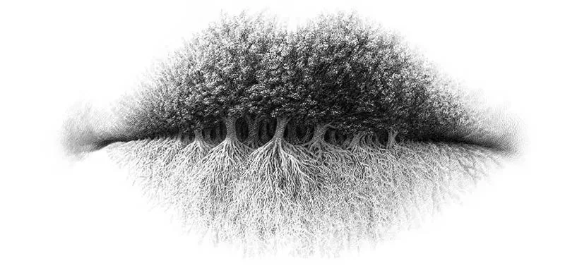 Cosa vedi per primo Il test rivela la tua personalita