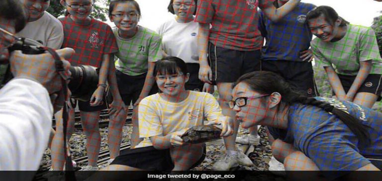 Illusione ottica: la foto è a colori o bianco e nero?