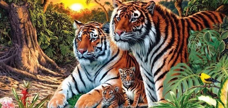 Test: Quante tigri sono presenti nell’immagine?