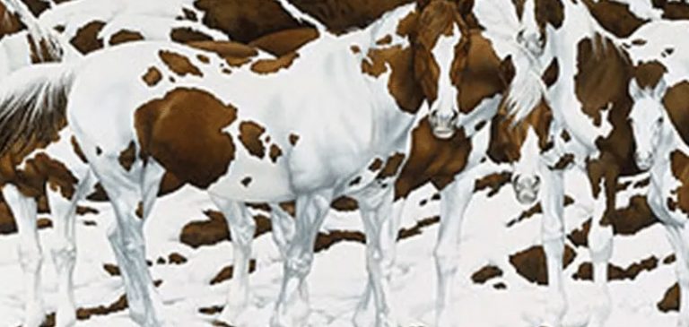 Quanti cavalli riesci a vedere nel dipinto?