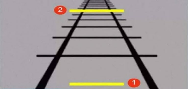 Illusione ottica: Quale linea è più lunga?