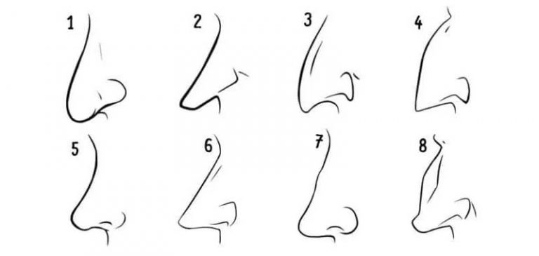 Test: La forma del naso rivela la tua personalità