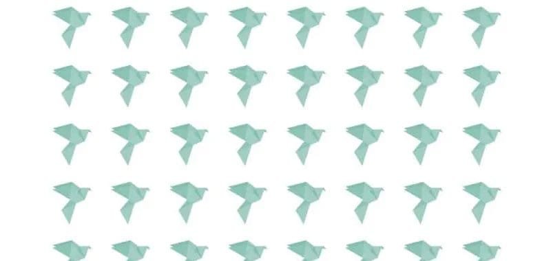 Test Riesci a trovare la piccolissima differenza