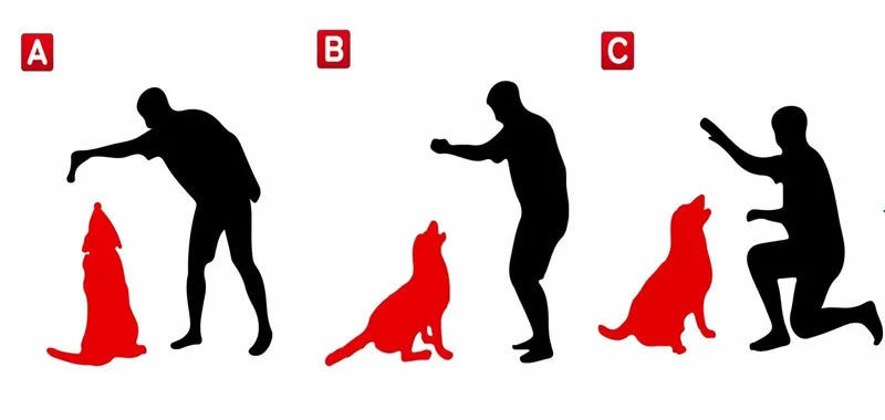 Test psicologico Chi non e il proprietario del cane