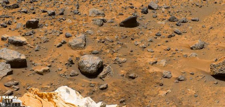 Entomologo rivela: Ecco le prove della vita su Marte