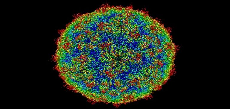 Scienziati creano un virus per accelerare lo sviluppo dell’umanità