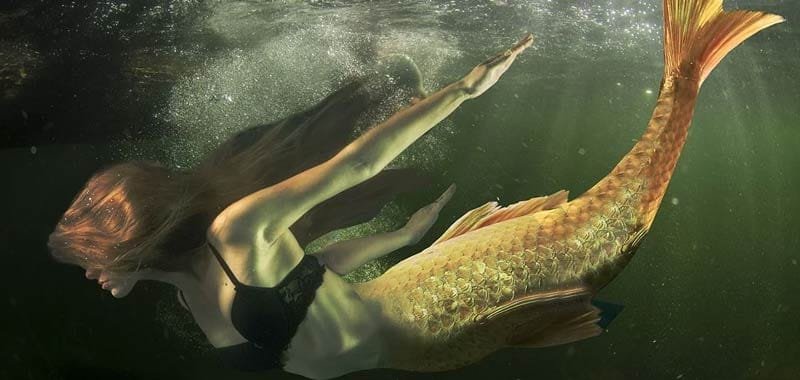 Scozia Nessun allevamento ittico per colpa delle sirene