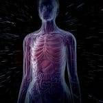 appendice un organo inutile