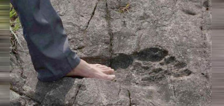 Nuova Zelanda: Ritrovate orme giganti impresse nella roccia