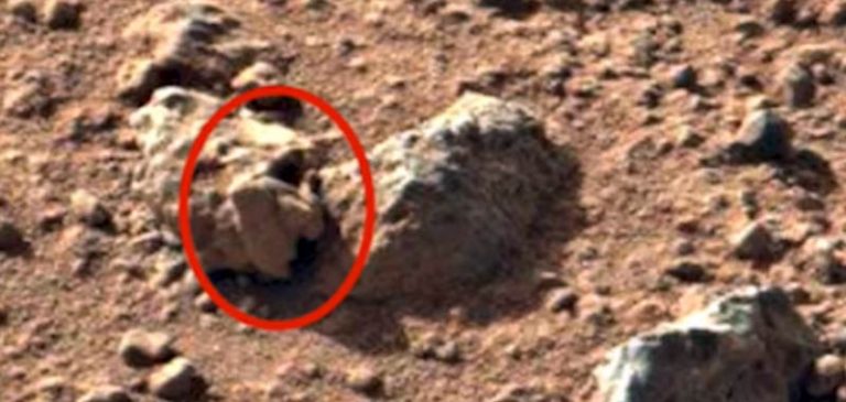 Alieni: Ci sono teschi fossilizzati su Marte?