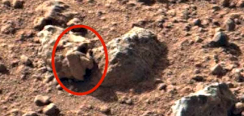Alieni Ci sono teschi fossilizzati su Marte