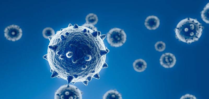Coronavirus un virus da laboratorio ci crede un americano su tre