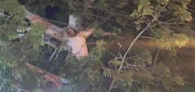 Quarantena: Gesù appare crocifisso ad un albero
