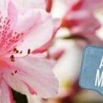 Si avvicina la festa della mamma