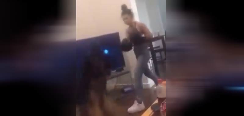 Fa boxe con il suo cane scoppia l'indignazione sul web