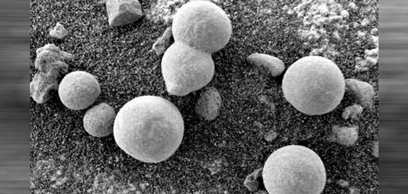 Nasa Le immagini mostrano funghi sulla superficie di Marte