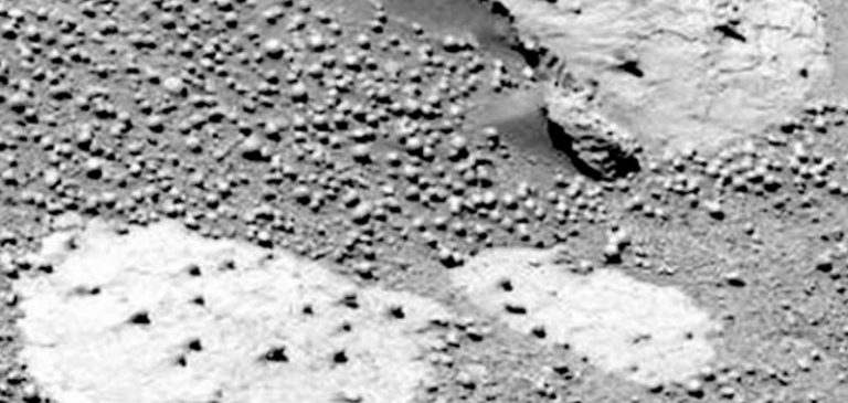 Rapporto scientifico conferma: sono presenti funghi su Marte