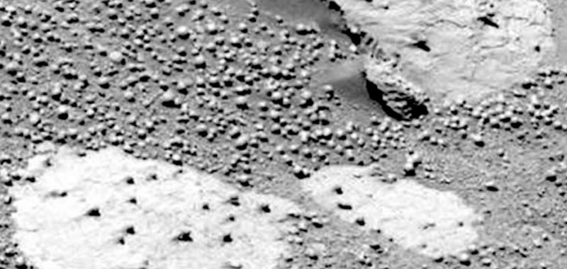 Rapporto scientifico conferma sono presenti funghi su Marte