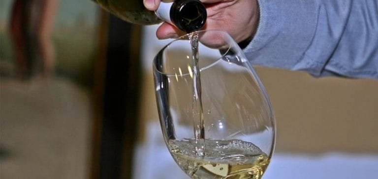 Sommelier, ecco come diventare un esperto di vini