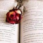 E voi li amate i romanzi distopici