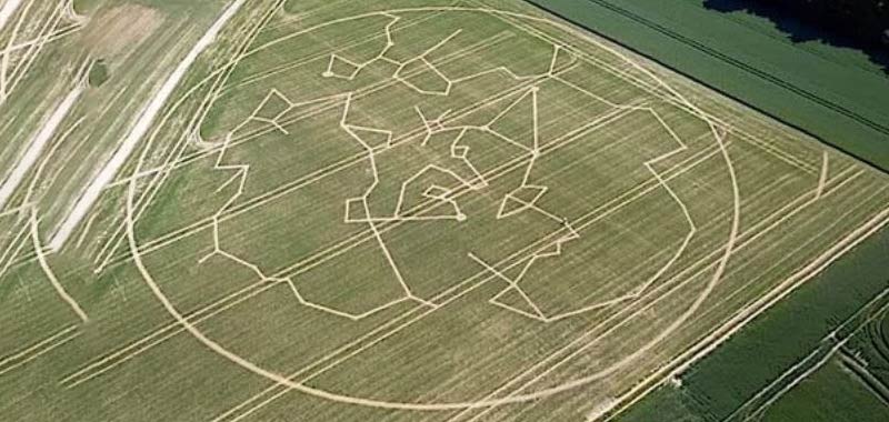 Francia Incredibile mappa stellare in un campo di grano