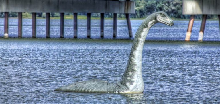 Loch Ness, il mostro è reale lo prova il DNA