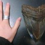 Vanno in gita e fanno un ritrovamento davvero incredibile