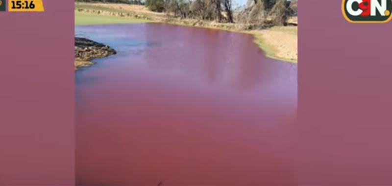 Profezie bibliche in Paraguay un lago rosso sangue