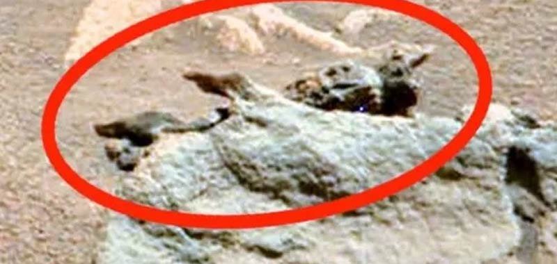 Fossile alieno avvistato su Marte