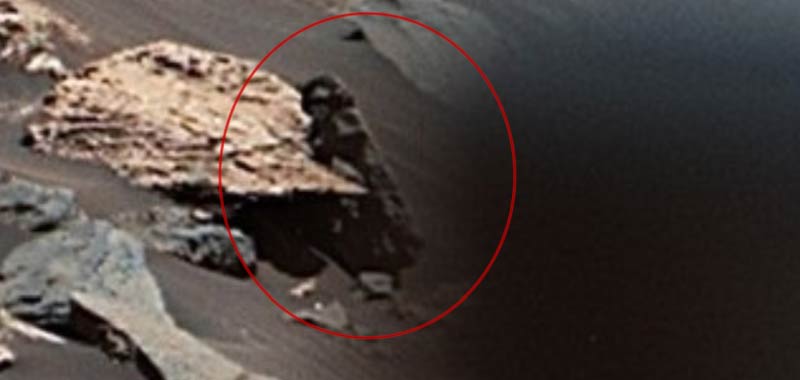 Qualcuno osserva il Rover Curiosity della Nasa