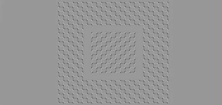 Illusione ottica, l’immagine che sembra muoversi fa impazzire il web