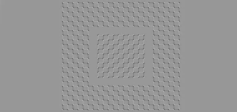 immagine che sembra muoversi fa impazzire il web