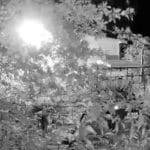 Cattura una figura spettrale fuori casa e rimane sconvolto