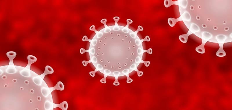 Antico testo sacro descriveva il coronavirus