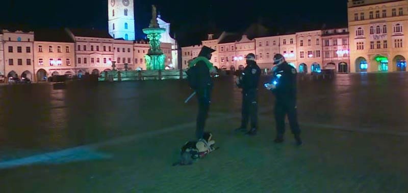 Porta a spasso un cane di peluche per evitare il blocco