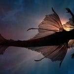 Scomparso in mare racconta di aver incontrato le sirene