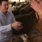 Condivide la proposta di matrimonio ma poi si scopre la verita