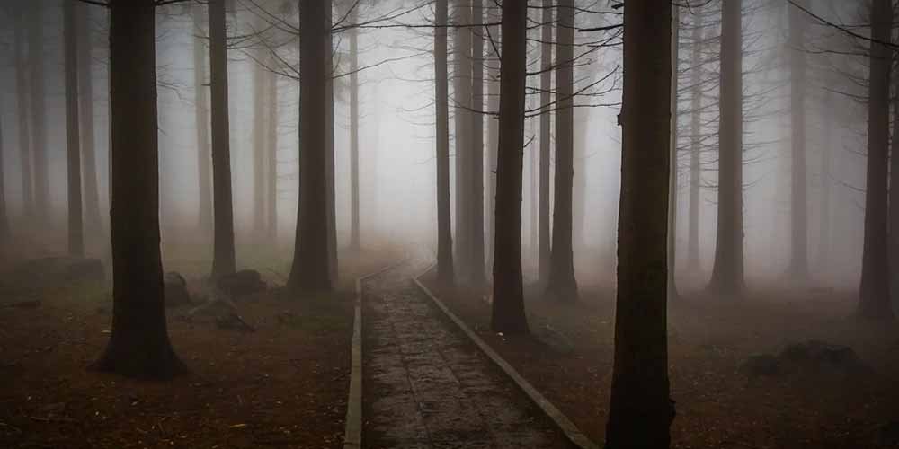 Cosa sognano le persone prima di morire