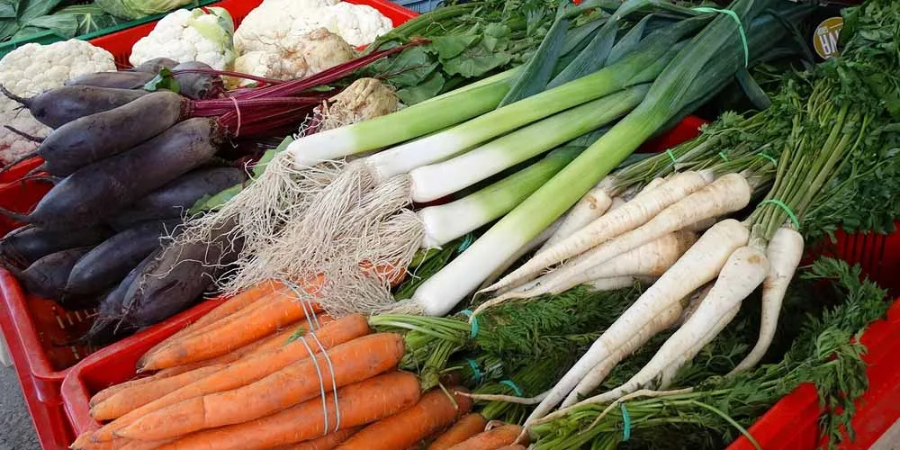 Demenza Le proteine vegetali riducono il rischio