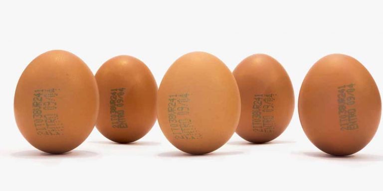 Dieta: Mangiare molte uova fa bene alla salute