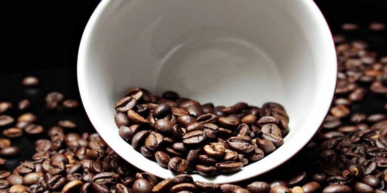 La caffeina fa diminuire la materia grigia nel cervello