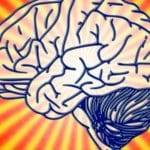 Longevita cerebrale come possibile allungarla