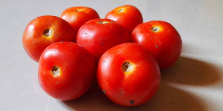 Pomodori e sgombro, alimenti utili contro l’invecchiamento