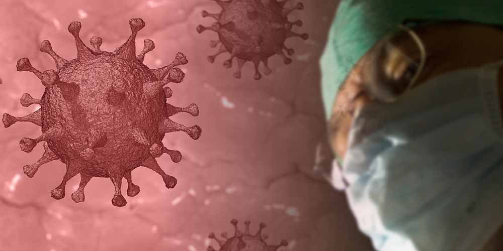 Scienziati Un nuovo coronavirus solo questione di tempo