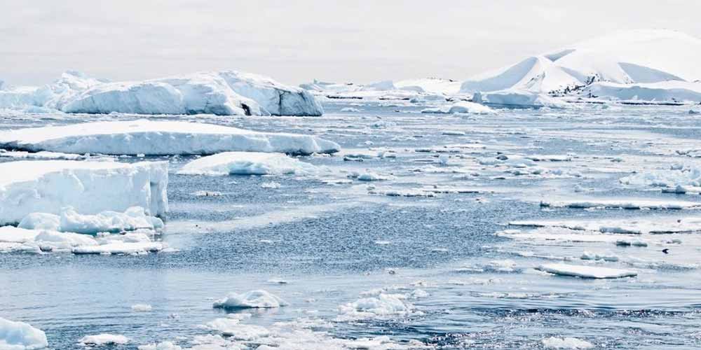 vita sotto gli spessi strati di ghiaccio in Antartide