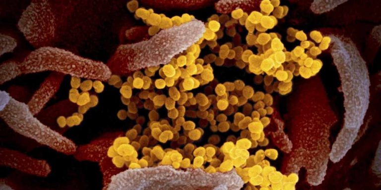 Coronavirus: Quante varianti, perchè ora e non finirà mai?