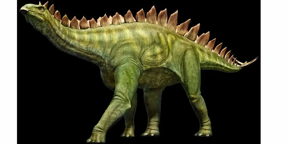 Scoperta scientifica Esisteva un dinosauro grande come un gatto