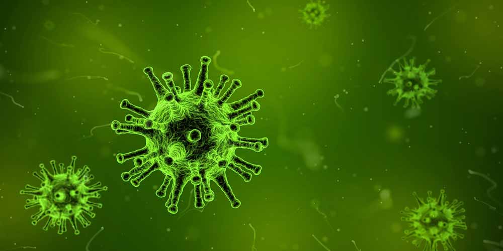 Genoma Z puo essere presente in pericolosi virus